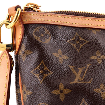Palermo Handbag Monogram Canvas PM