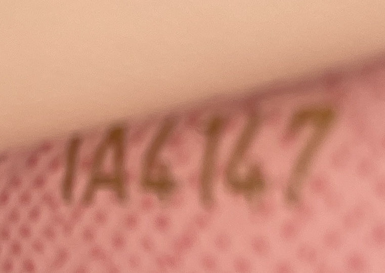 Emilie Wallet Damier