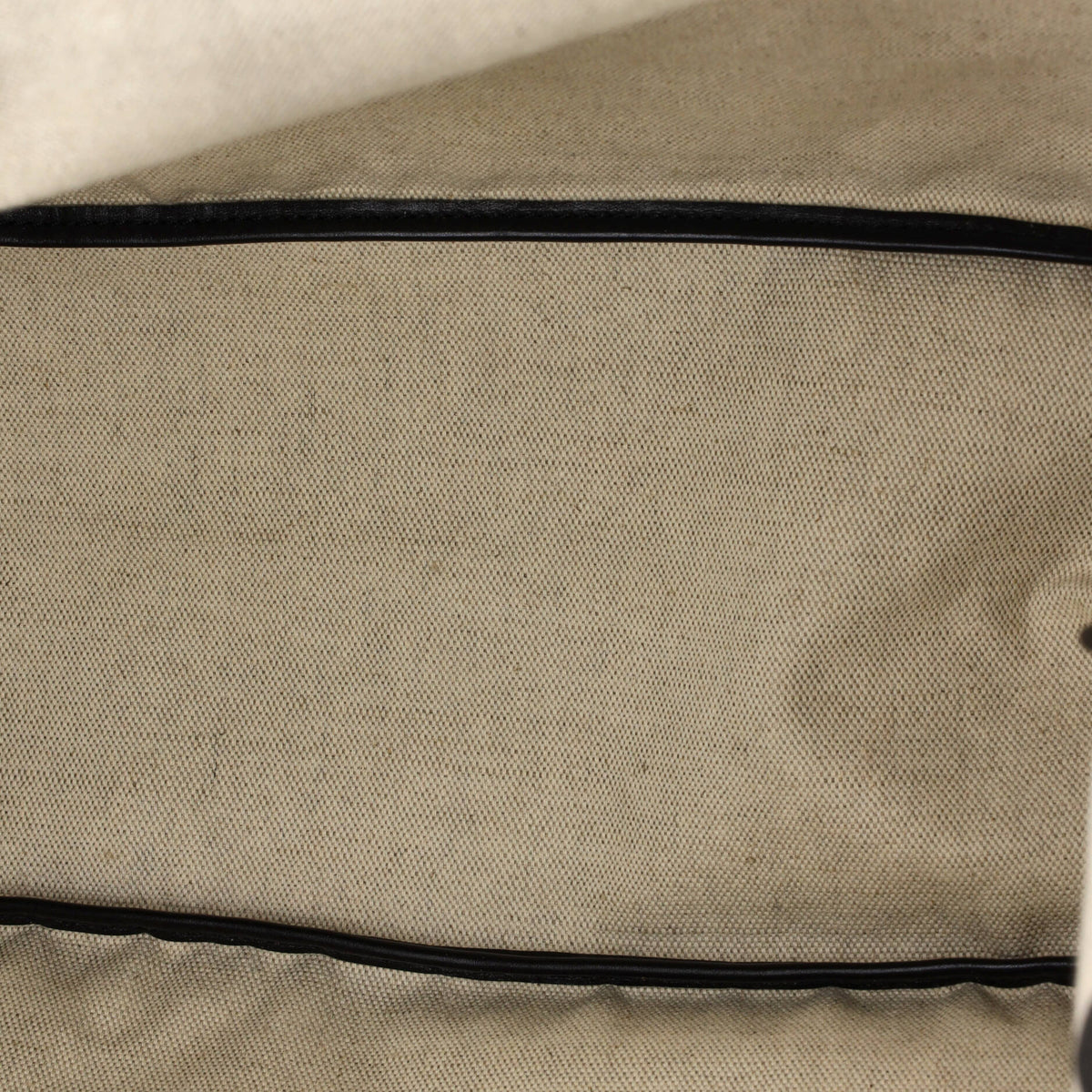 Saint Louis Tote Coated Canvas PM