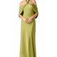 AH373-FERN