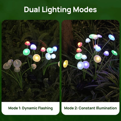 Colorful Light-