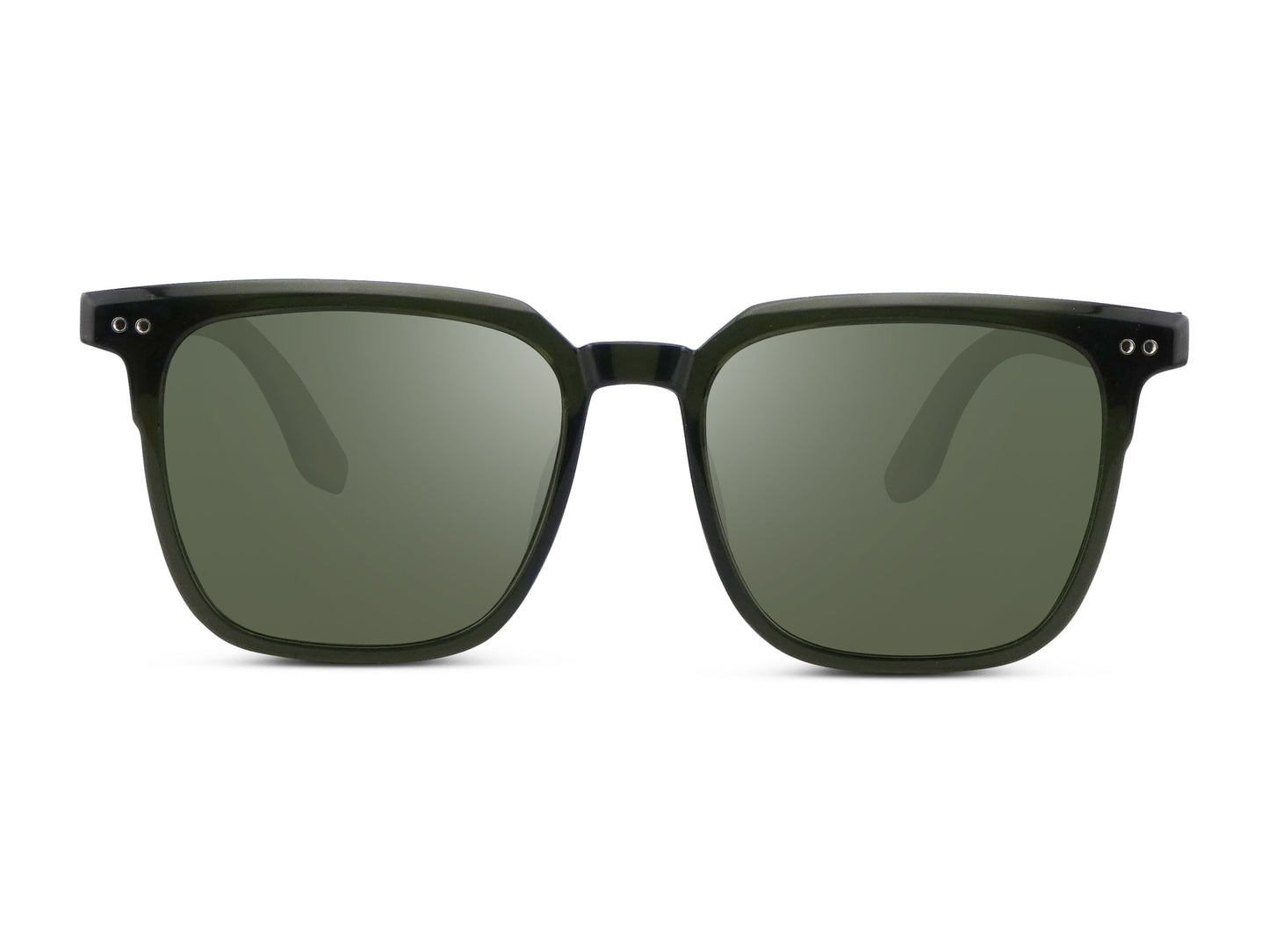 The Hybrid | Evergreen