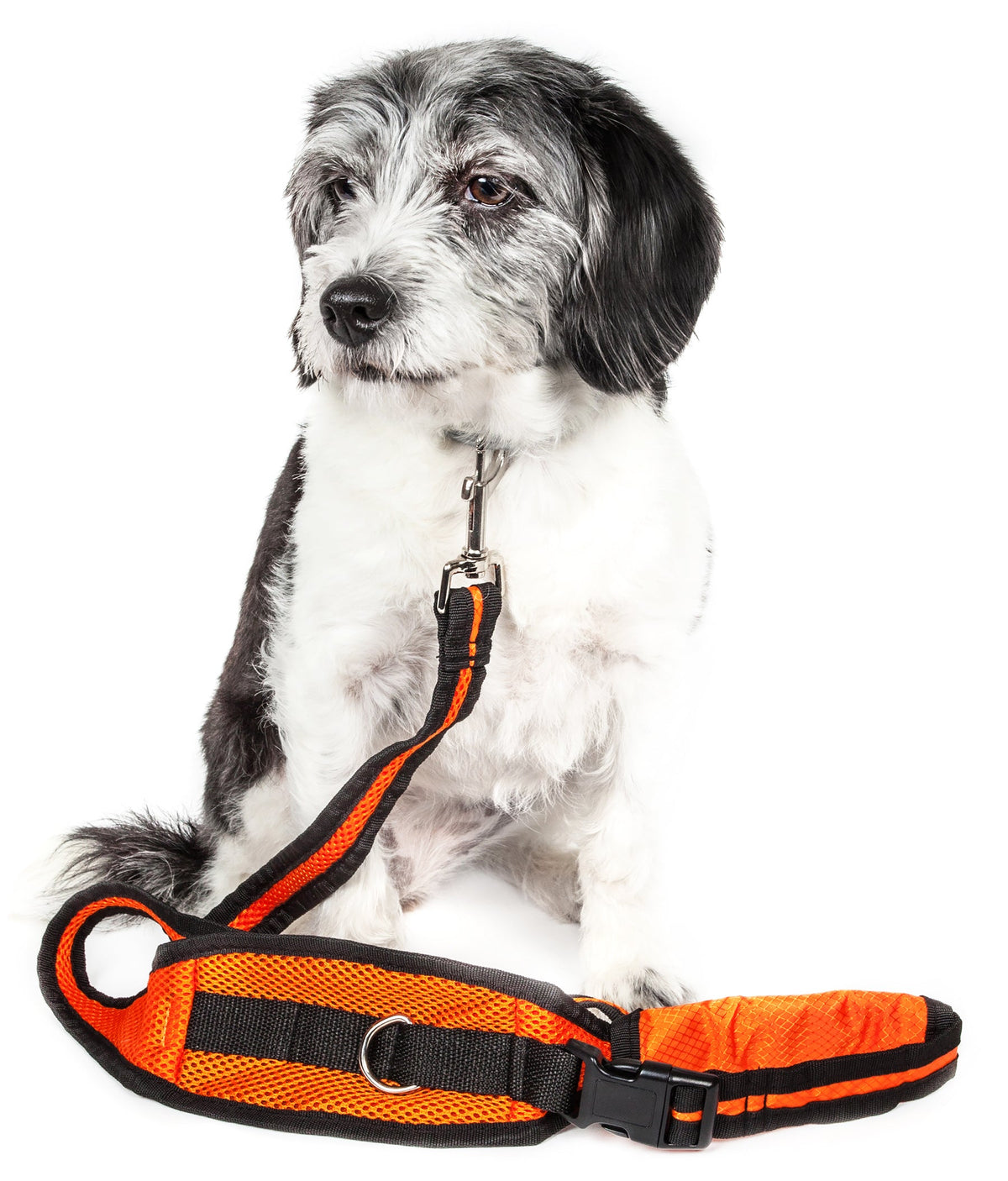 Orange-