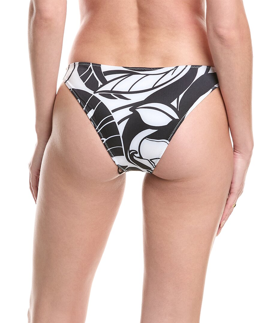 BWPPS-BLACK/WHITE EXOTIC PALM-