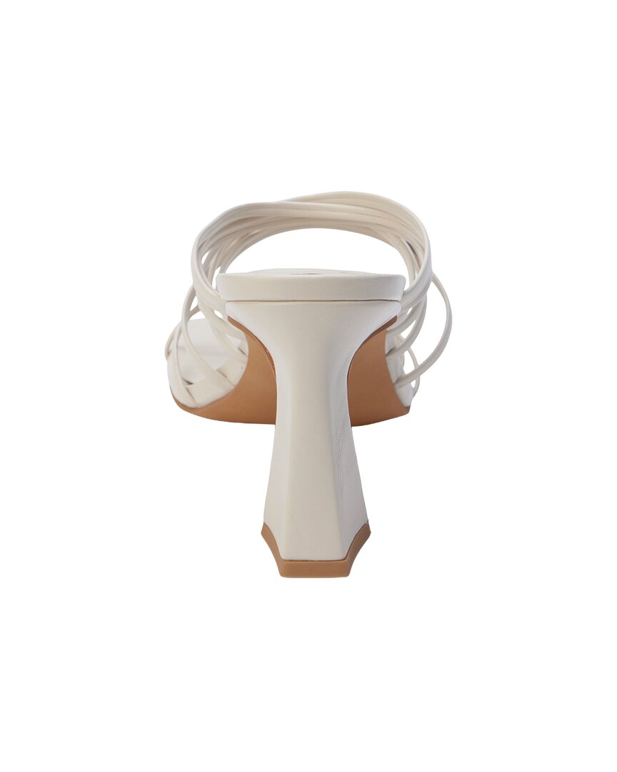 Ivory-
