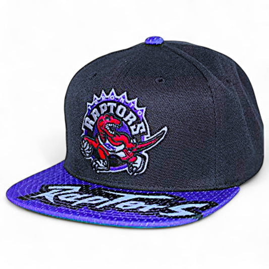 Men's Mitchell & Ness NBA Snapshot Snapback Hwc Raptors - Black-Purple