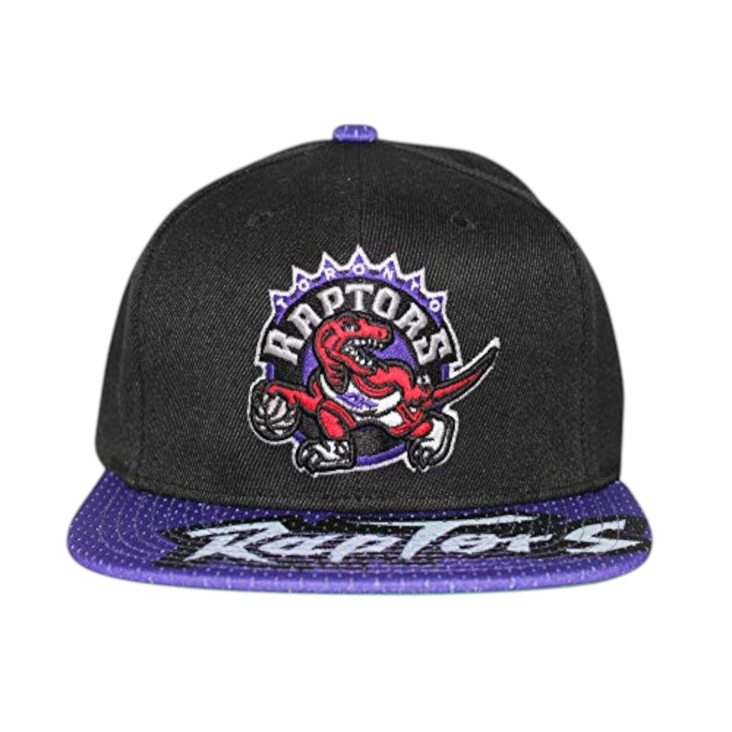 Men's Mitchell & Ness NBA Snapshot Snapback Hwc Raptors - Black-Purple