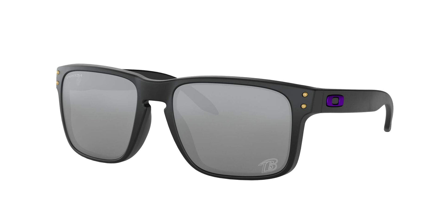 Oakley Men's Holbrook Sunglasses
