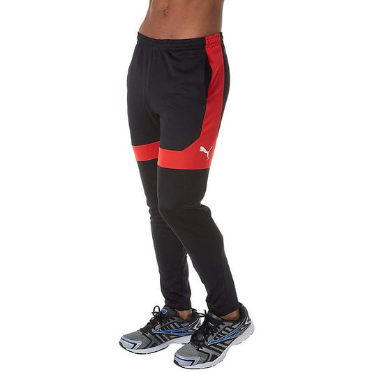 Puma Men's Ftblnxt Pant Pants