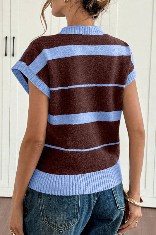 Threaded Pear Sky Blue Stripe Striped Short Sleeve Round Neck Casual Knit Top