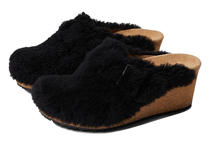 Teddy Black-