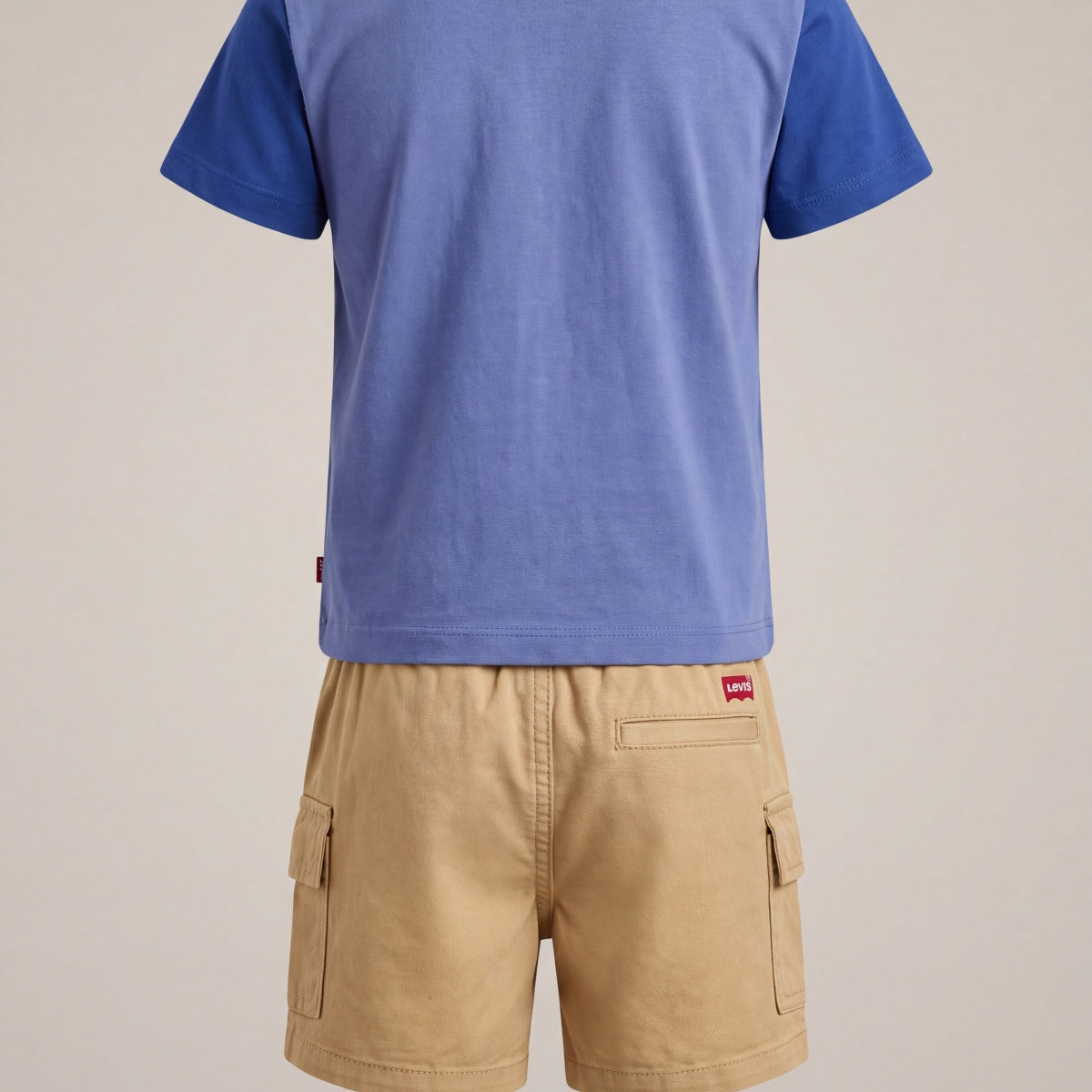 Blue and Beige-