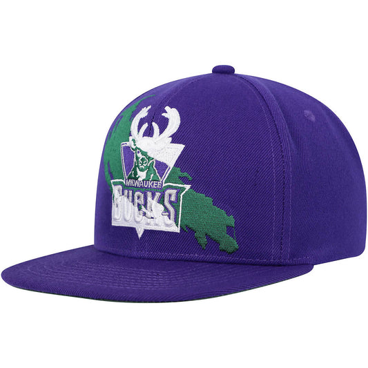 Men's Mitchell & Ness NBA Paint By Number Snapback Hwc Bucks - Purple