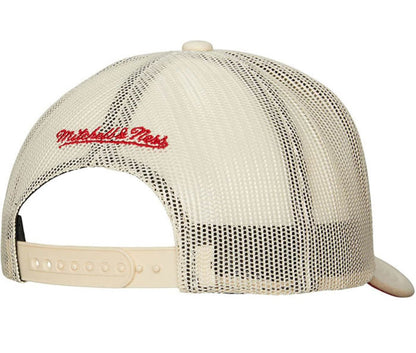 Mitchell & Ness Men's MLB Evergreen Trucker Coop Twins Ball Caps