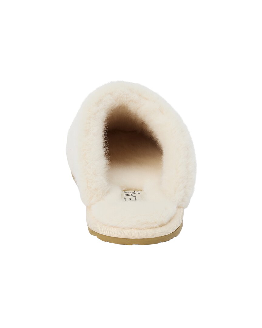 Ivory-