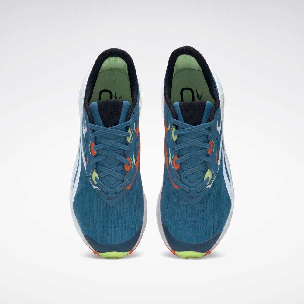 Steblu/Ftwwht/Smaora-