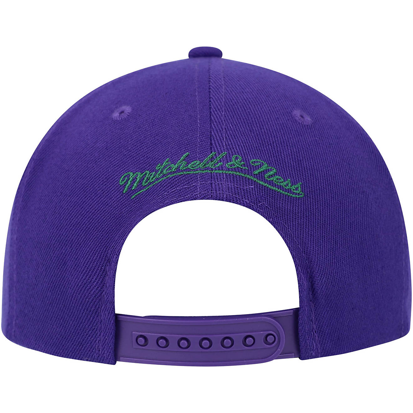Men's Mitchell & Ness NBA Paint By Number Snapback Hwc Bucks - Purple