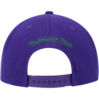 Mitchell & Ness Men's NBA Paint By Number Snapback Hwc Bucks Snapback Caps