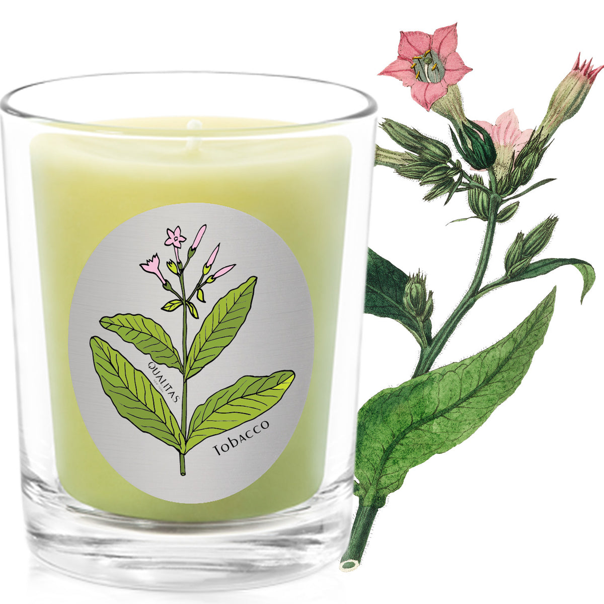 Qualitas Tobacco Candle