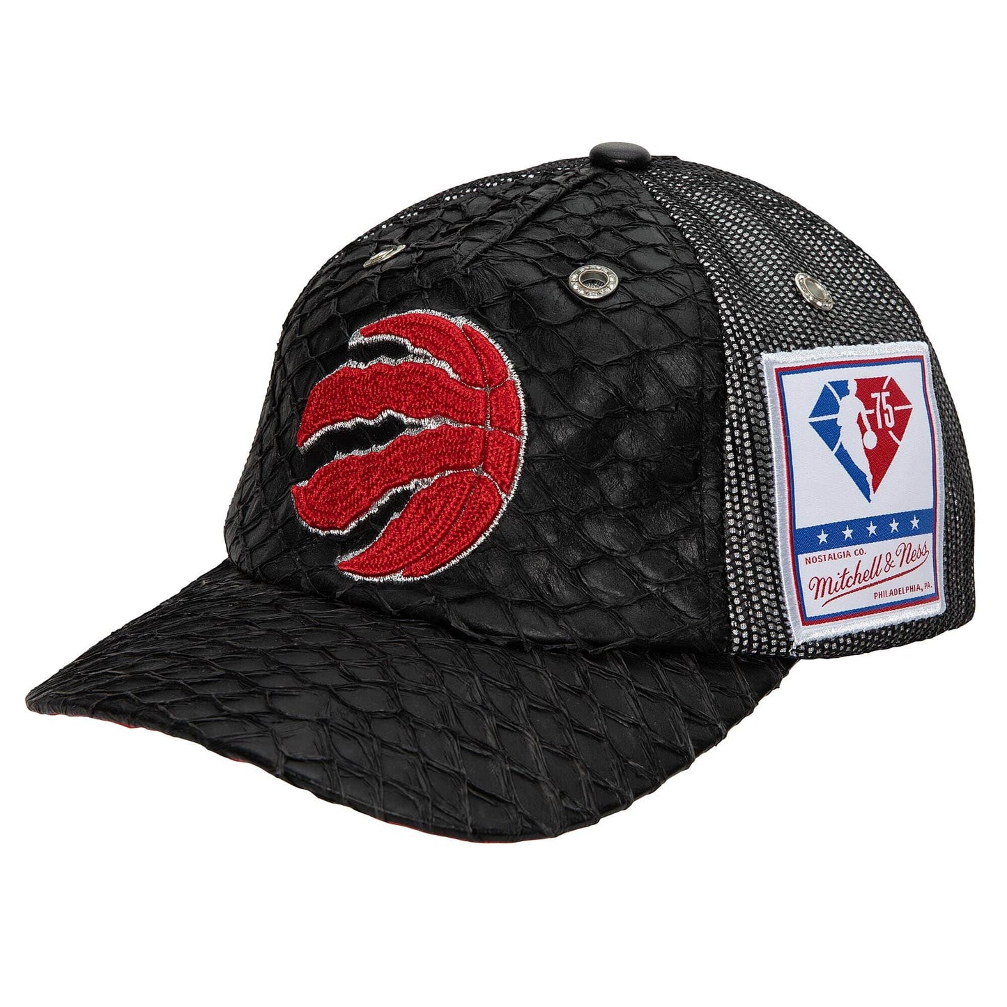Men's Mitchell & Ness NBA 75Th Platinum Lux Trucker Raptors