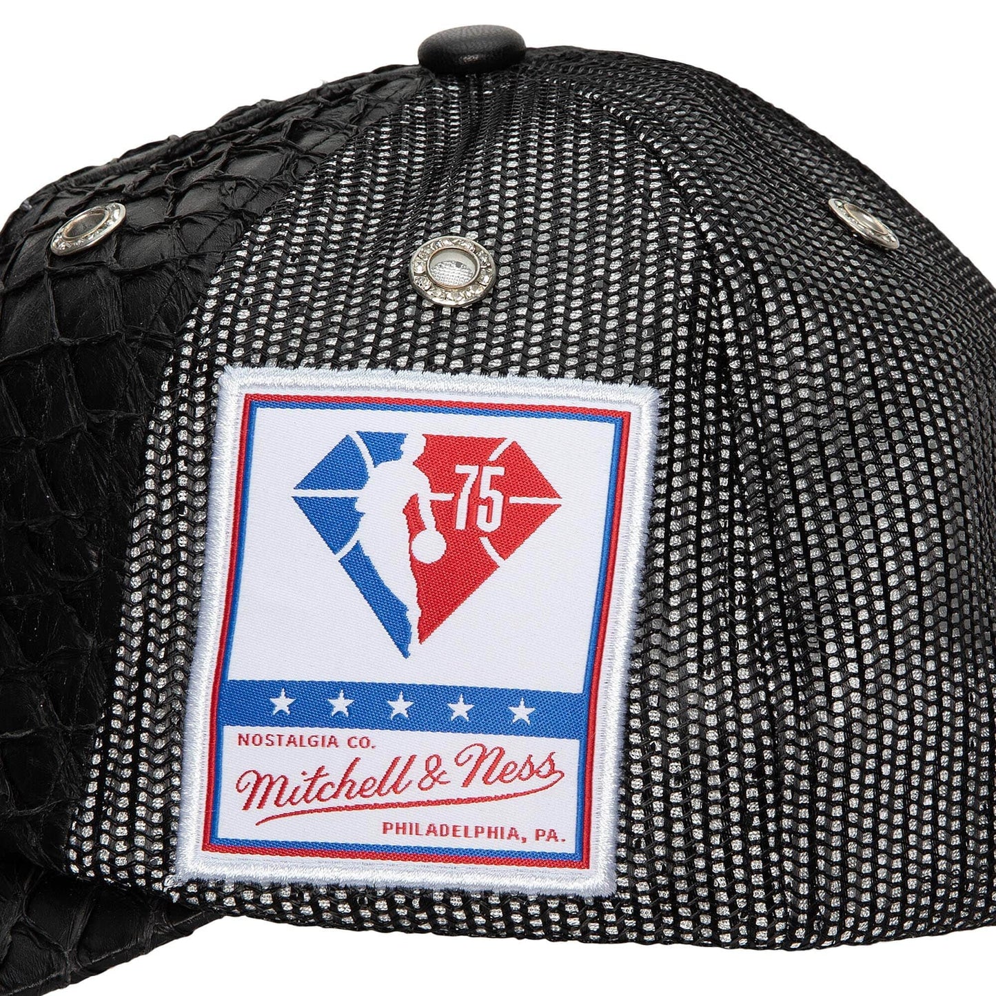 Men's Mitchell & Ness NBA 75Th Platinum Lux Trucker Raptors