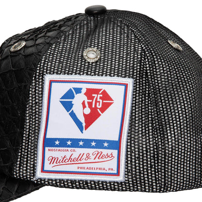 Mitchell & Ness Men's NBA 75Th Platinum Lux Trucker Raptors Hats