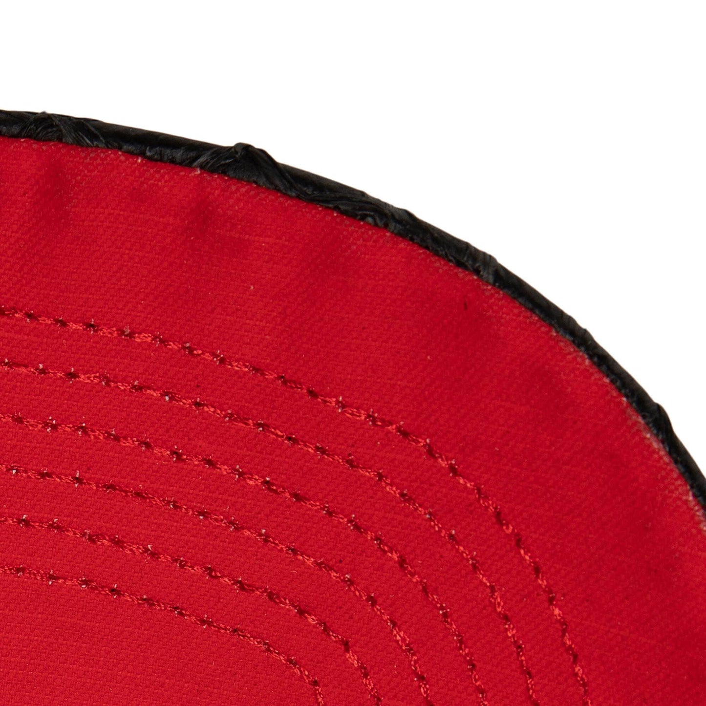 Mitchell & Ness Men's NBA 75Th Platinum Lux Trucker Raptors Hats
