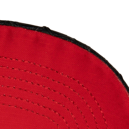 Mitchell & Ness Men's NBA 75Th Platinum Lux Trucker Raptors Hats