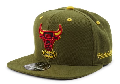 Mitchell & Ness Men's NBA Dusty Olive Fitted Hwc Bulls Fitted Caps