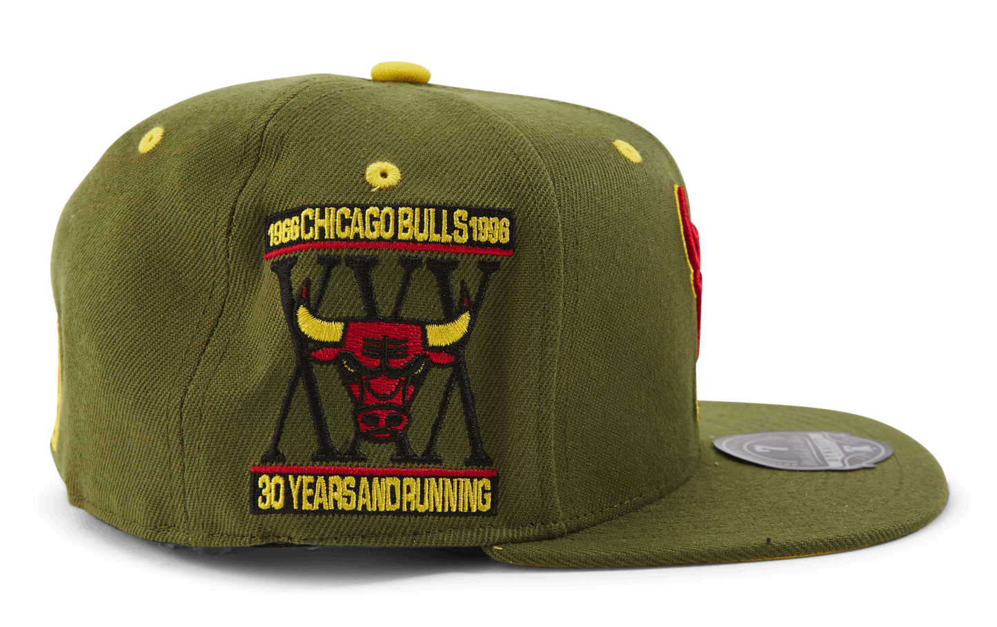 Mitchell & Ness Men's NBA Dusty Olive Fitted Hwc Bulls Fitted Caps