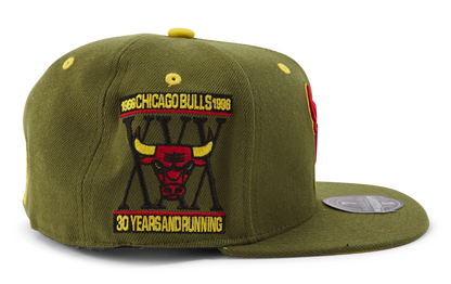 Mitchell & Ness Men's NBA Dusty Olive Fitted Hwc Bulls Fitted Caps