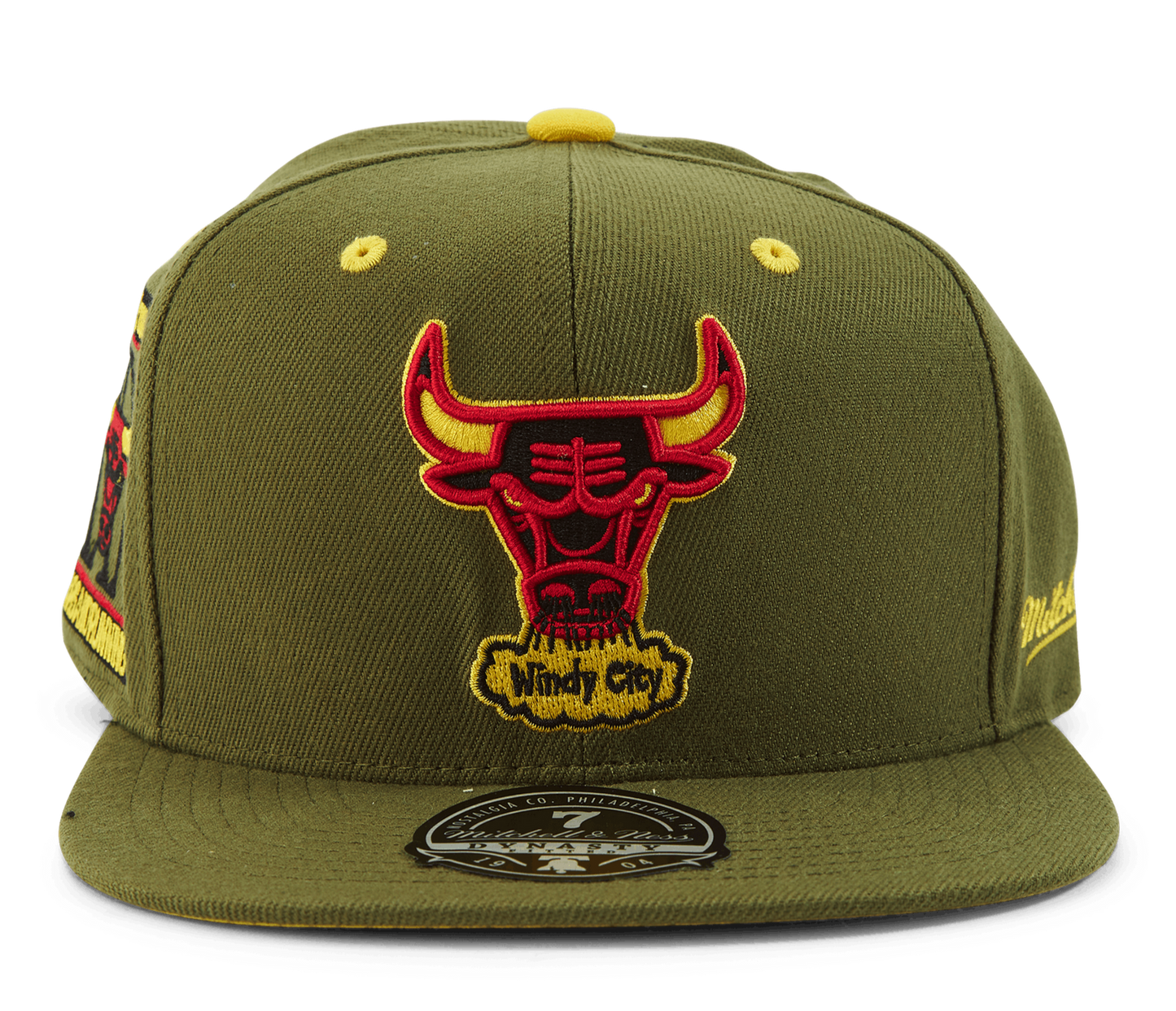 Mitchell & Ness Men's NBA Dusty Olive Fitted Hwc Bulls Fitted Caps