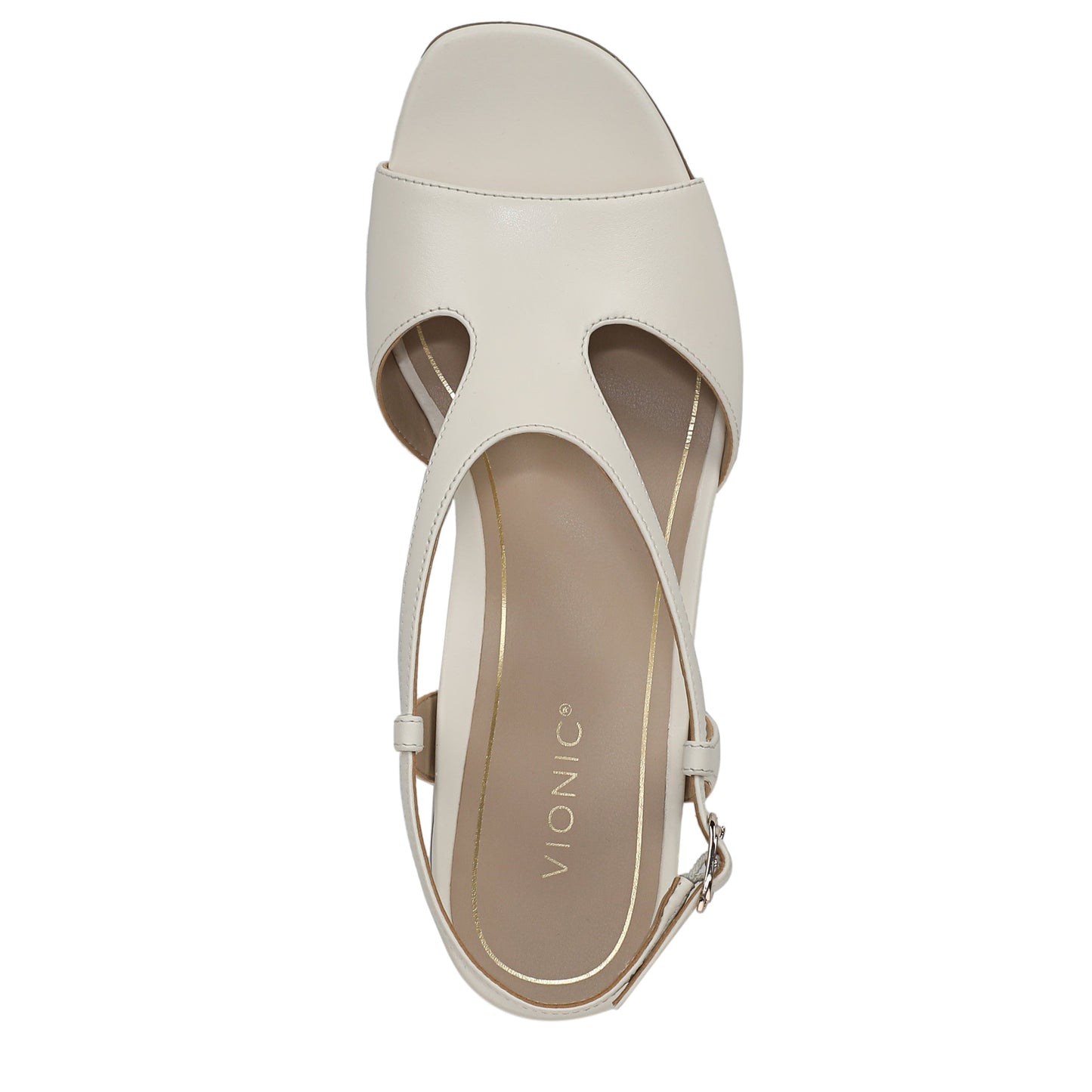 Ivory-
