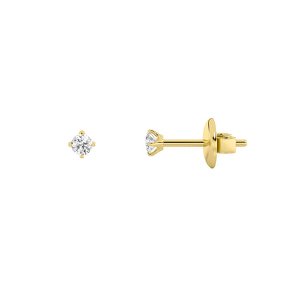 0.25Cttw Round Shaped Lab Grown Diamond (F/VS) Stud Earrings in 14K Gold