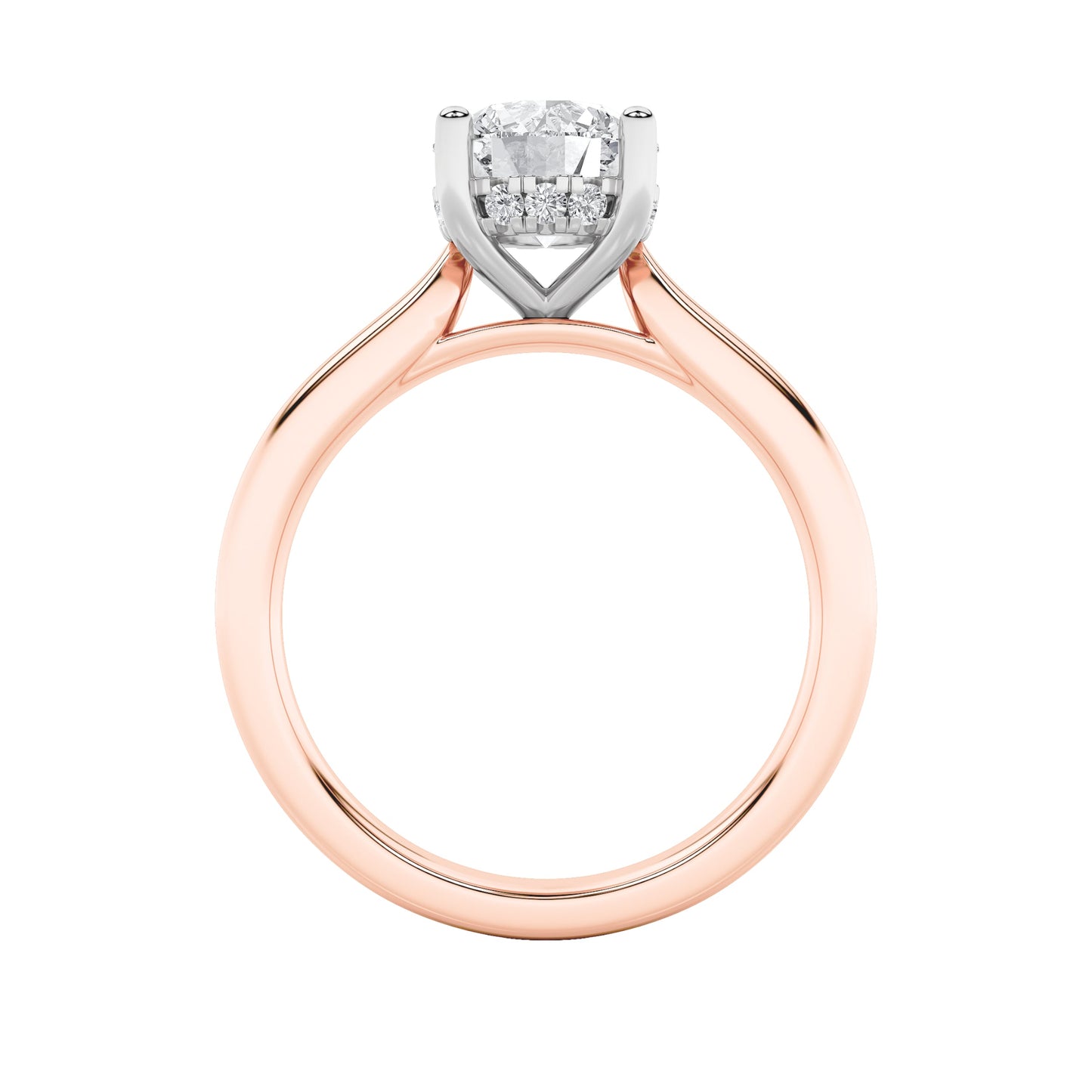 3Cttw Round Shaped Lab Grown Diamond (F/VS) HiddenHalo Cathedral Shank Engagement Ring in 14K Gold