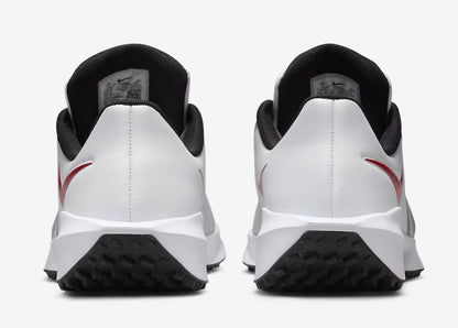 Nike Men's Infinity Golf '24 Shoes