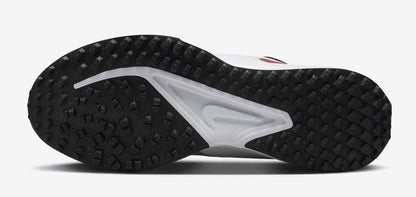 Nike Men's Infinity Golf '24 Shoes
