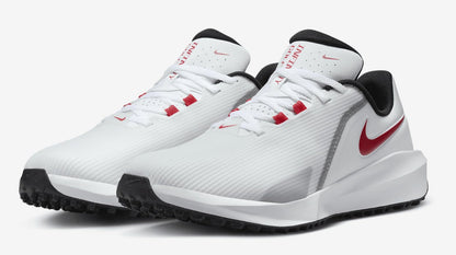 Nike Men's Infinity Golf '24 Shoes
