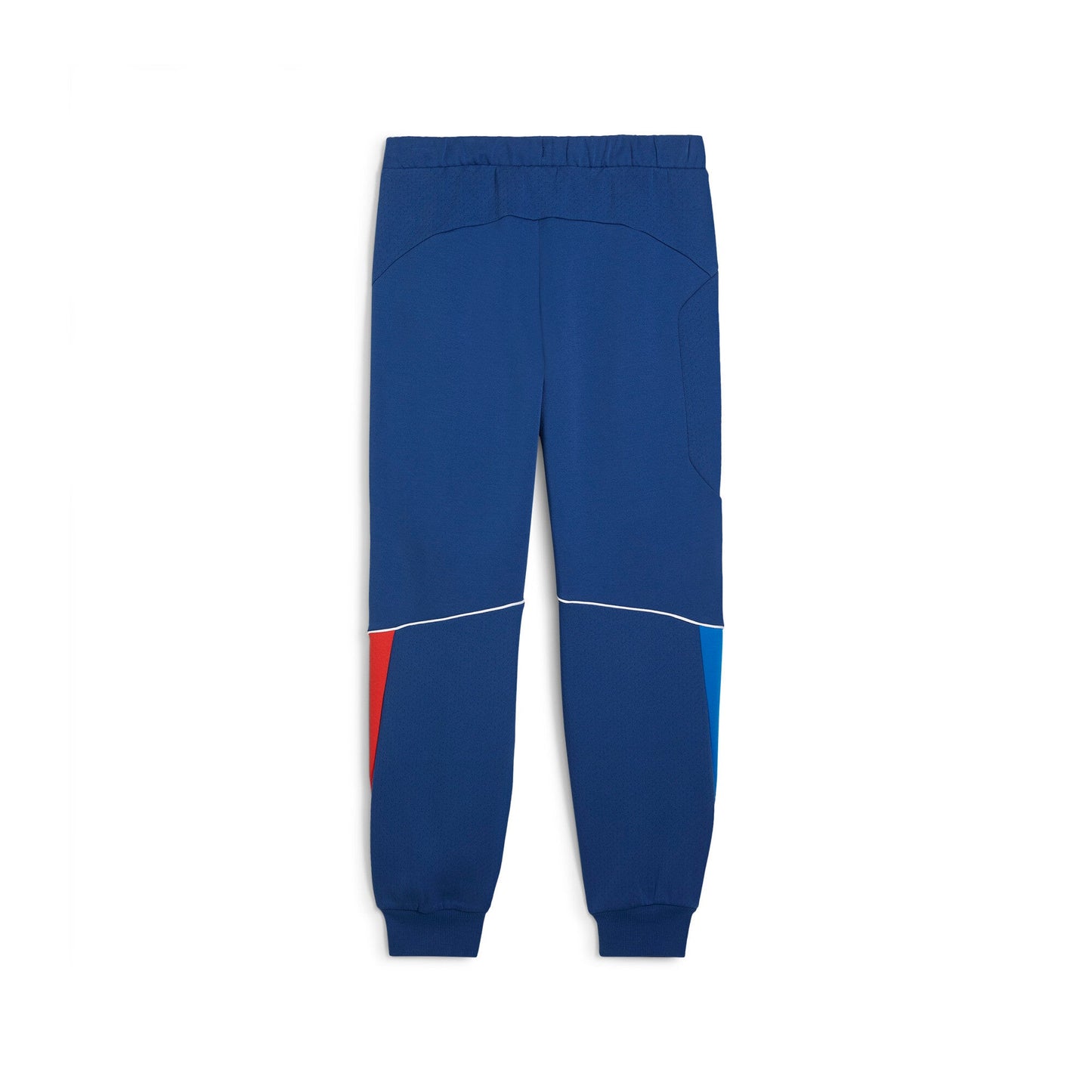 Men's Puma Bmw Motorsports Sweat Pants