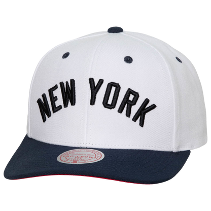 Mitchell & Ness Men's MLB Ny Yankees Evergreen Pro Snapback