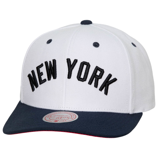 Mitchell & Ness Men's MLB Ny Yankees Evergreen Pro Snapback