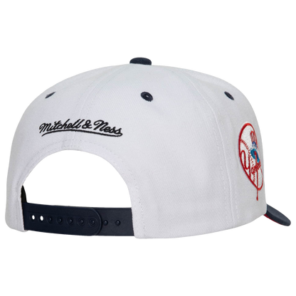 Mitchell & Ness Men's MLB Ny Yankees Evergreen Pro Snapback