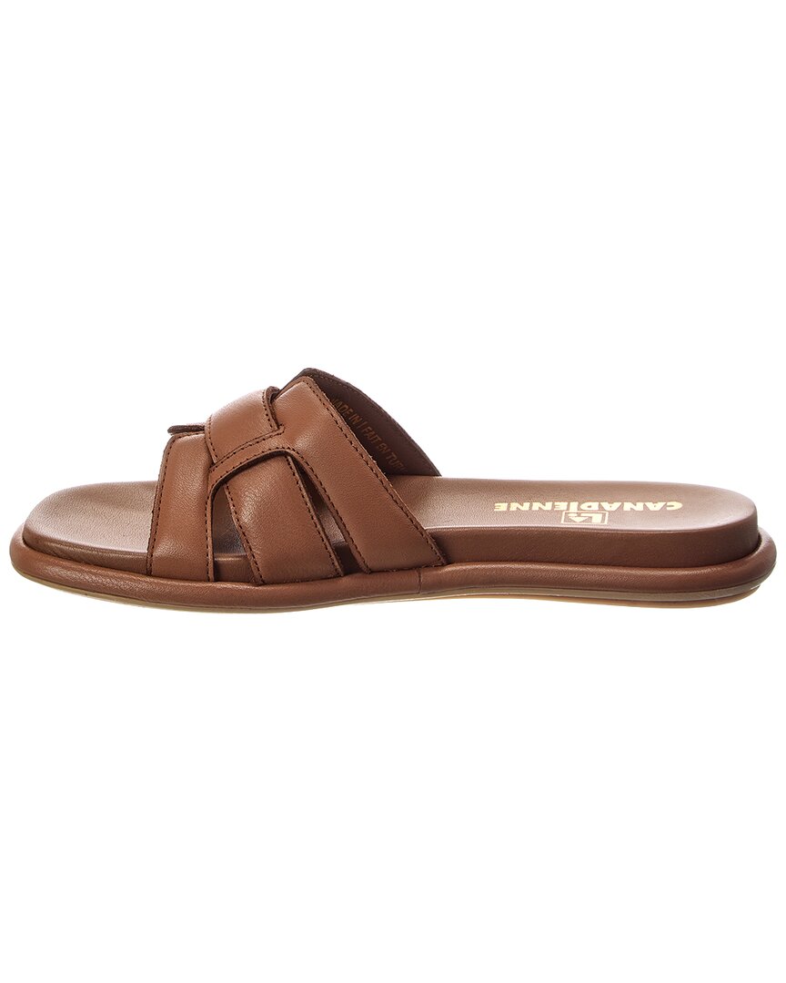 Cuero Leather-