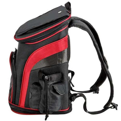 Black & Red-