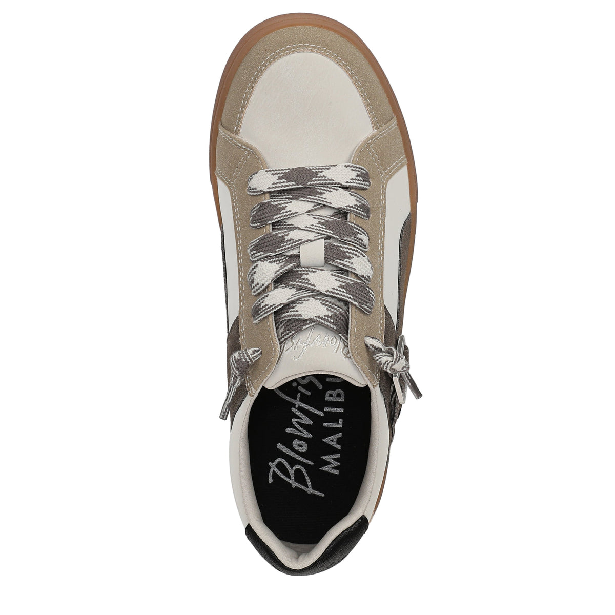 Oyster Multi-