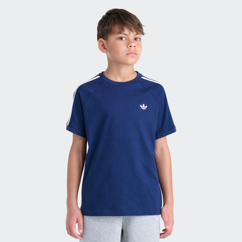 Night Indigo-