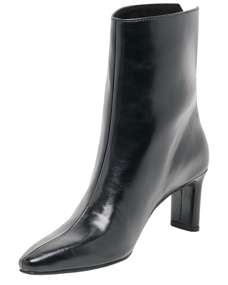 midnight patent stella-