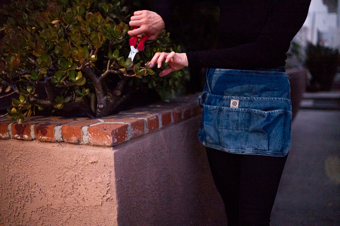 The Waist Apron