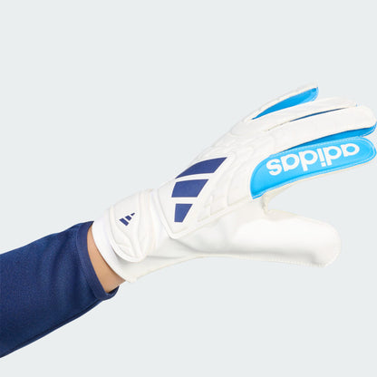 Zero Metalic / Lucid Ray Blue / Dark Blu-