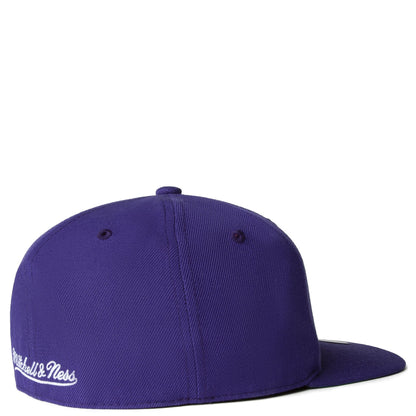 Mitchell & Ness Men's NBA Team Ground 2.0 Fitted Hwc Raptors Fitted Caps